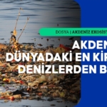 Akdeniz'deki plastik kirliliğinin boyutu alarm veriyor