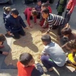Gazze'nin kuzeyindeki Filistinliler un bulamadıkları için hayvan yemlerini öğütmeye başladı