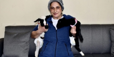 bir-haftalik-kuzular-pamuk-ve-ceylani-evde-anne-sefkatiyle-buyutuyor-LxD3qump.jpg