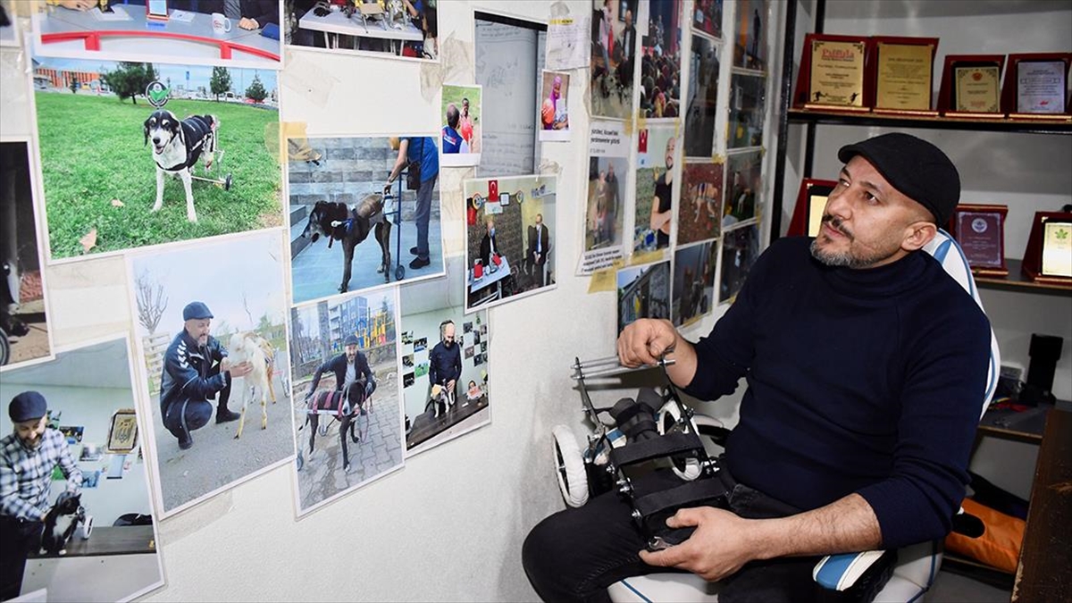 fabrika-iscisi-felcli-ve-ampute-hayvanlar-icin-yurutec-uretiyor-zGF9nxzl.jpg