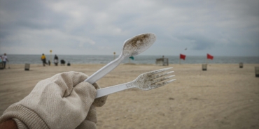 tek-kullanimlik-plastik-urunlerin-tuketiminin-sonlandirilmasi-cagrisi-UHZ4chFk.jpg