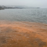 tekirdagda-planktonlarin-cogalmasiyla-deniz-suyu-yer-yer-renk-degistirdi-fqqYGAHg.jpg