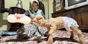 torunlarinin-adini-verdikleri-oglaga-evlerinde-bebek-gibi-bakiyorlar-GLiJPqz1.jpg