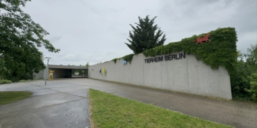 berlin-hayvan-barinagi-muduru-mareen-esmeier-sahipsiz-her-hayvan-kisirlastirilmali-wECnqtg3.jpg