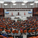 10 soruda TBMM'de kabul edilen sahipsiz hayvanlara yönelik düzenleme