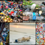 Sıfır Atık Vakfı, tek kullanımlık plastiklerin olumsuz etkilerini raporladı