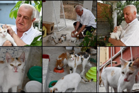 Kalbini açtığı 8 kediye evinin bahçesine koyduğu kulübelerde bakıyor