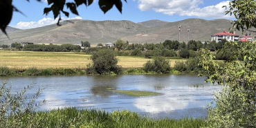 Sıcakların etkili olduğu Ardahan'da su debisi düşen Kura Nehri'ni yosun kapladı